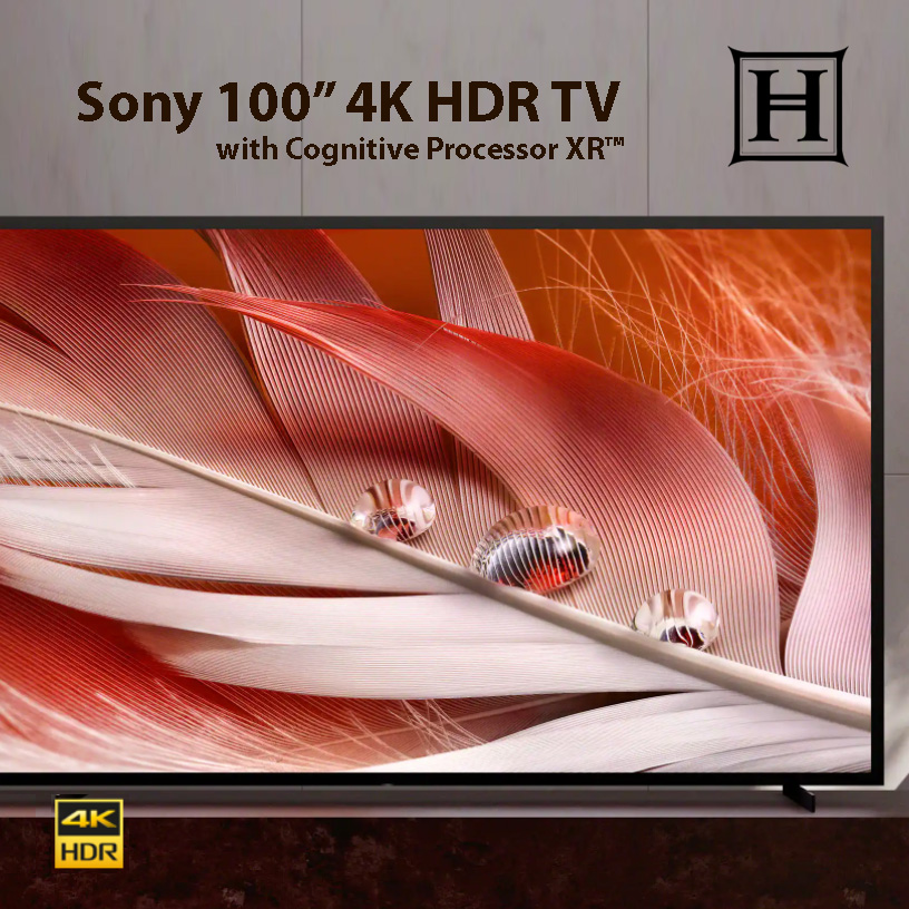 New Sony 100" TV Haas Entertainment